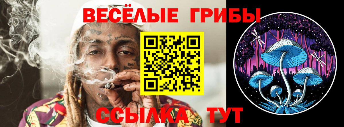 Псилоцибиновые грибы Psilocybine cubensis  Вход с VPN  Коркино  Галлюциногенные грибы Psilocybine cubensis 